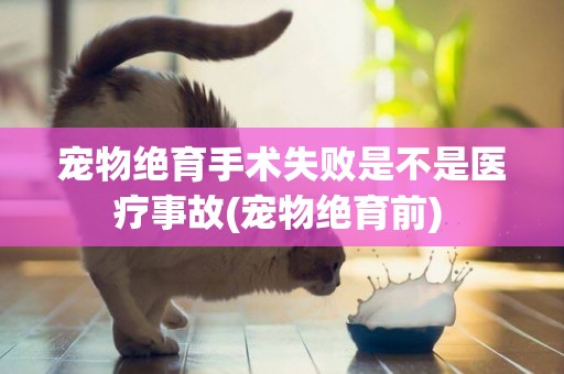 寵物絕育手術失敗是不是醫療事故(寵物絕育前) 