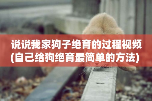 說說我家狗子絕育的過程視頻(自己給狗絕育最簡單的方法) 