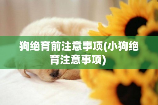 狗絕育前注意事項(小狗絕育注意事項) 