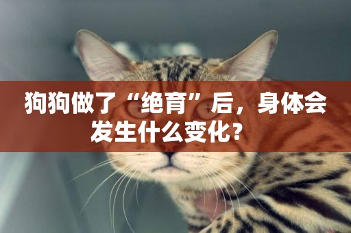 狗狗做了“絕育”后，身體會發生什么變化？ 