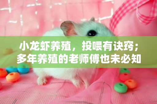 小龍蝦養殖，投喂有訣竅；多年養殖的老師傅也未必知道，新手必看 