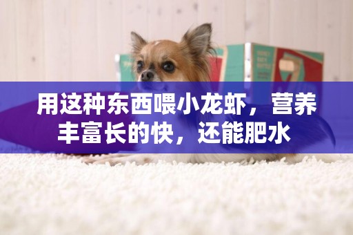 用這種東西喂小龍蝦，營養豐富長的快，還能肥水 