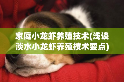 家庭小龍蝦養殖技術(淺談淡水小龍蝦養殖技術要點) 