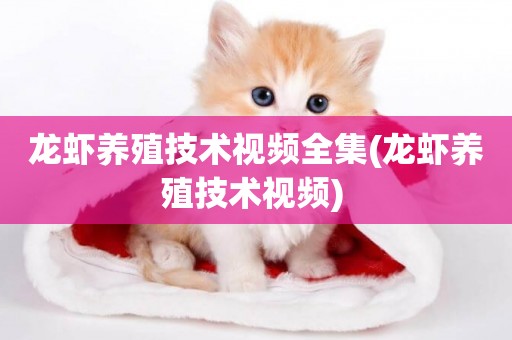 龍蝦養殖技術視頻全集(龍蝦養殖技術視頻) 