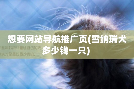 想要網站導航推廣頁(雪納瑞犬多少錢一只) 