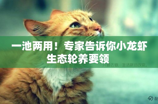 一池兩用！專家告訴你小龍蝦生態輪養要領 