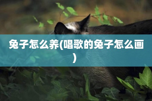 兔子怎么養(唱歌的兔子怎么畫) 