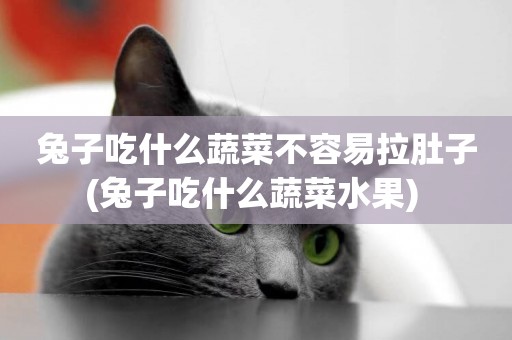 兔子吃什么蔬菜不容易拉肚子(兔子吃什么蔬菜水果) 