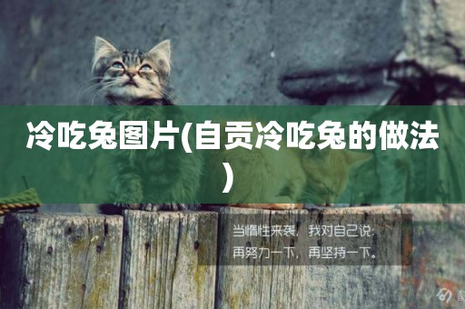 冷吃兔圖片(自貢冷吃兔的做法) 