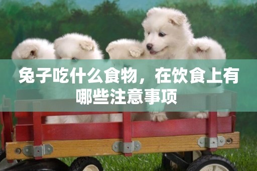 兔子吃什么食物，在飲食上有哪些注意事項 