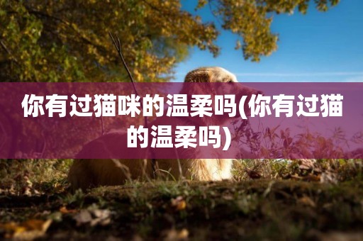 你有過貓咪的溫柔嗎(你有過貓的溫柔嗎) 