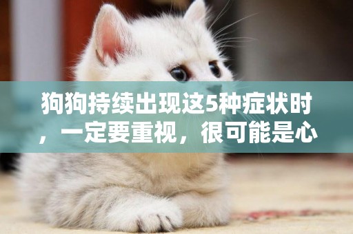狗狗持續出現這5種癥狀時，一定要重視，很可能是心臟病的征兆 