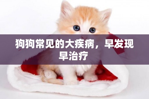 狗狗常見的大疾病，早發現早治療 