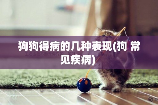 狗狗得病的幾種表現(狗 常見疾病) 