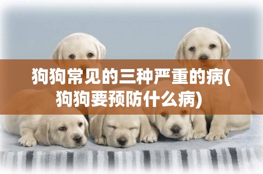 狗狗常見的三種嚴重的病(狗狗要預防什么病) 