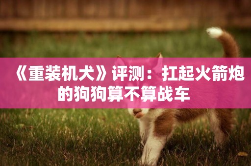 《重裝機犬》評測：扛起火箭炮的狗狗算不算戰車 