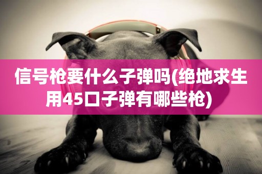 信號槍要什么子彈嗎(絕地求生用45口子彈有哪些槍) 
