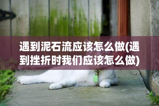 遇到泥石流應該怎么做(遇到挫折時我們應該怎么做) 