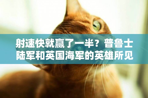 射速快就贏了一半？普魯士陸軍和英國海軍的英雄所見如此相似 