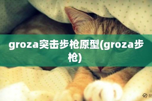 groza突擊步槍原型(groza步槍) 