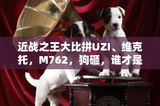 近戰之王大比拼UZI、維克托，M762，狗砸，誰才是真正的近戰之王 