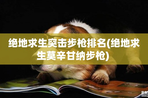 絕地求生突擊步槍排名(絕地求生莫辛甘納步槍) 
