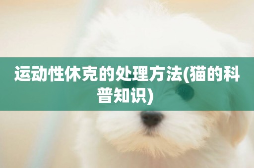 運動性休克的處理方法(貓的科普知識) 