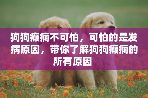 狗狗癲癇不可怕，可怕的是發病原因，帶你了解狗狗癲癇的所有原因 