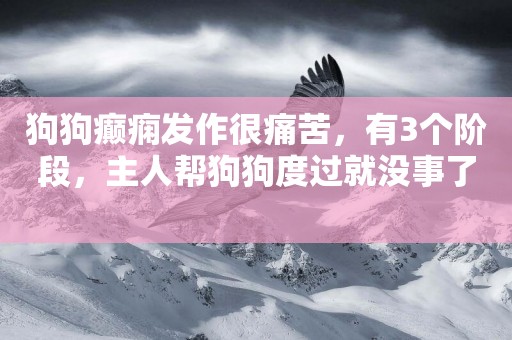 狗狗癲癇發作很痛苦，有3個階段，主人幫狗狗度過就沒事了 