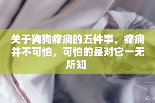 關于狗狗癲癇的五件事，癲癇并不可怕，可怕的是對它一無所知 