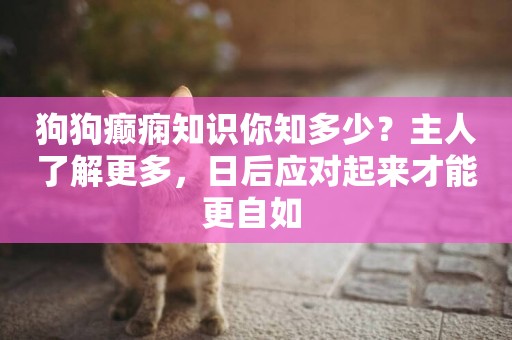 狗狗癲癇知識你知多少？主人了解更多，日后應對起來才能更自如 