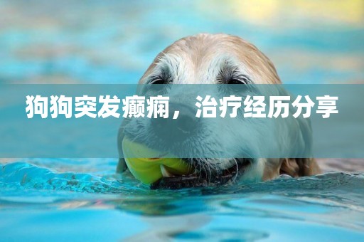 狗狗突發癲癇，治療經歷分享 