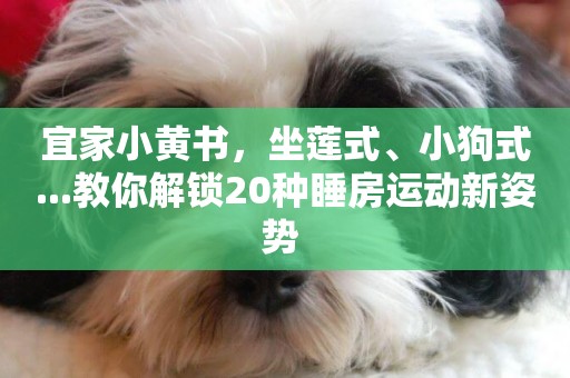 宜家小黃書，坐蓮式、小狗式...教你解鎖20種睡房運動新姿勢 