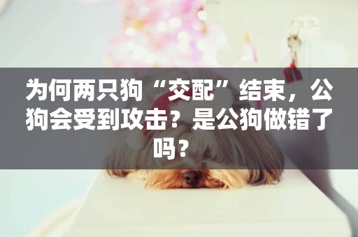 為何兩只狗“交配”結束，公狗會受到攻擊？是公狗做錯了嗎？ 