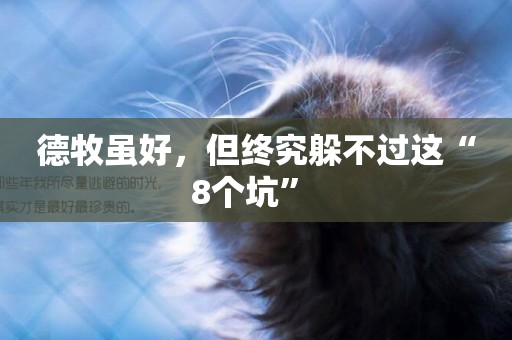 德牧雖好，但終究躲不過這“8個坑” 