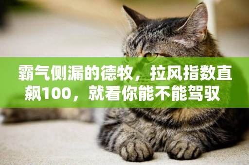 霸氣側漏的德牧，拉風指數直飆100，就看你能不能駕馭 