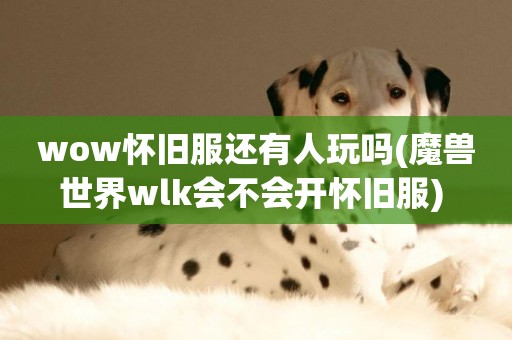 wow懷舊服還有人玩嗎(魔獸世界wlk會不會開懷舊服) 