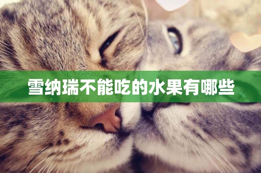 雪納瑞不能吃的水果有哪些