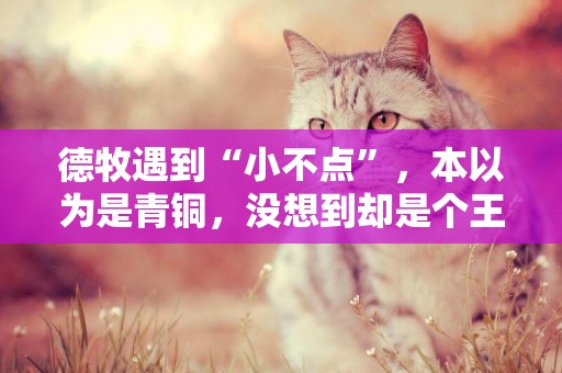 德牧遇到“小不點”，本以為是青銅，沒想到卻是個王者 