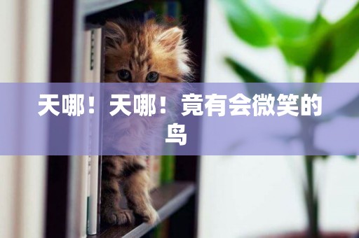 天哪！天哪！竟有會微笑的鳥 