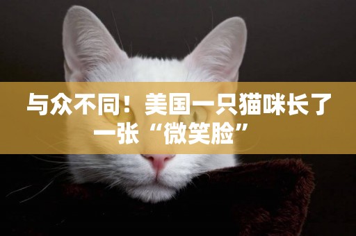 與眾不同！美國一只貓咪長了一張“微笑臉” 