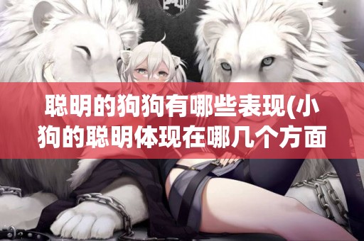 聰明的狗狗有哪些表現(小狗的聰明體現在哪幾個方面) 