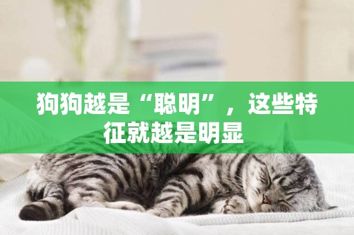 狗狗越是“聰明”，這些特征就越是明顯 