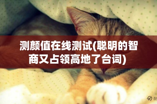 測顏值在線測試(聰明的智商又占領高地了臺詞) 