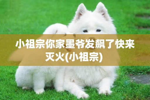 小祖宗你家墨爺發飆了快來滅火(小祖宗) 
