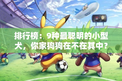 排行榜：9種最聰明的小型犬，你家狗狗在不在其中？ 