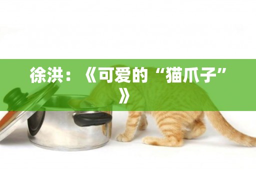 徐洪：《可愛的“貓爪子”》 