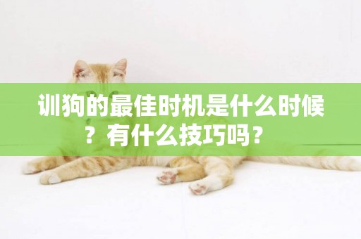 訓狗的最佳時機是什么時候？有什么技巧嗎？ 