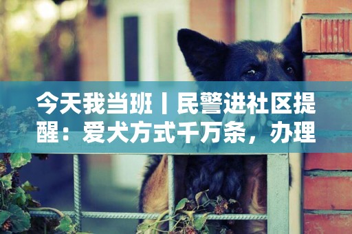 今天我當班丨民警進社區提醒：愛犬方式千萬條，辦理狗證第一條 