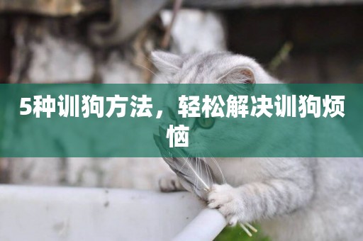 5種訓狗方法，輕松解決訓狗煩惱 